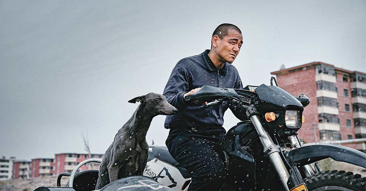 „Black Dog“ erzählt von der Freundschaft zwischen zwei Außenseitern