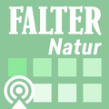 Zano - FALTER