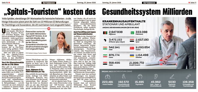 (Dieser ALT-Text wurde mithilfe von KI erstellt) Zeitungsdoppelseite mit Artikeln über Kosten durch Krankenhausbehandlungen für Flüchtlinge und Zuwanderer, Statistiken zu Behandlungszahlen nach Herkunftsländern und Fachrichtungen sowie Fotos einer Frau und eines Arztes im Gespräch mit einem Patienten.