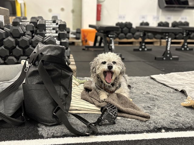 Fini im Fitnessstudio