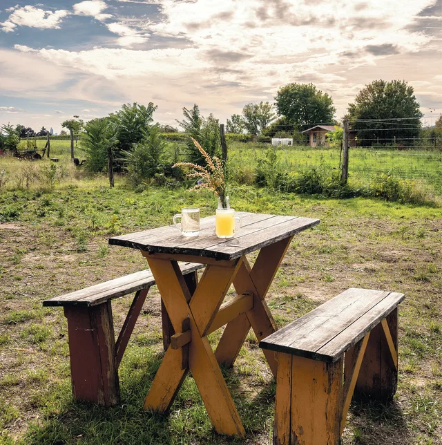 (Dieser ALT-Text wurde mithilfe von KI erstellt) Holztisch mit zwei Bänken steht auf einer Wiese, darauf ein Glas Wasser, eine Karaffe Saft und eine Vase mit Blumen, im Hintergrund ländliche Landschaft.