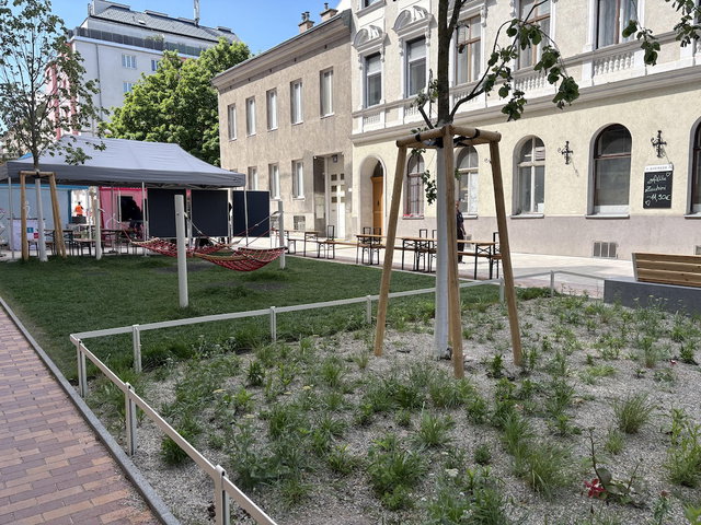 (Dieser ALT-Text wurde mithilfe von KI erstellt) Begrünter Innenhof mit jungen Pflanzen, Baumstütze, Sitzbänken, Pavillon, Hängematten und angrenzenden Altbauten bei Tageslicht.