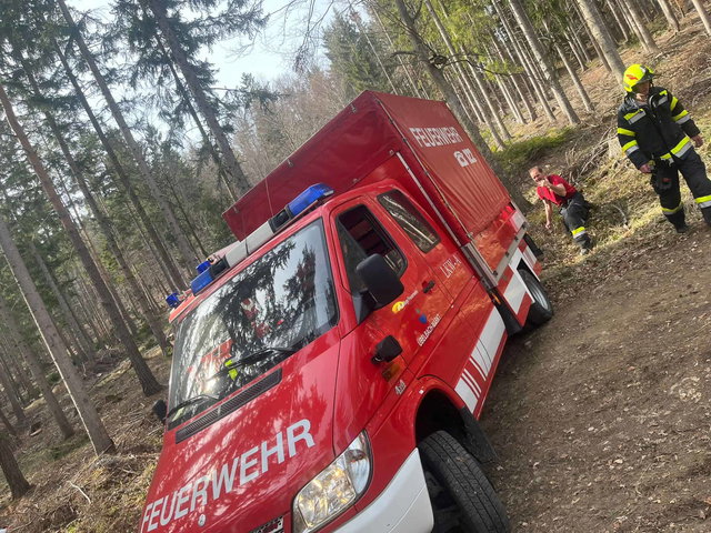 (Dieser ALT-Text wurde mithilfe von KI erstellt) Feuerwehrfahrzeug und zwei Feuerwehrleute im Einsatz am Waldrand, umgeben von Bäumen und Waldboden.