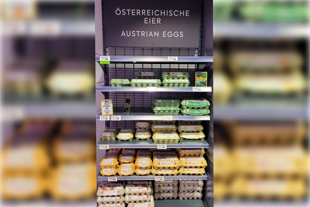 (Dieser ALT-Text wurde mithilfe von KI erstellt) Regal in einem Supermarkt mit mehreren Reihen Eierkartons, darüber ein Schild mit der Aufschrift „Österreichische Eier / Austrian Eggs“.