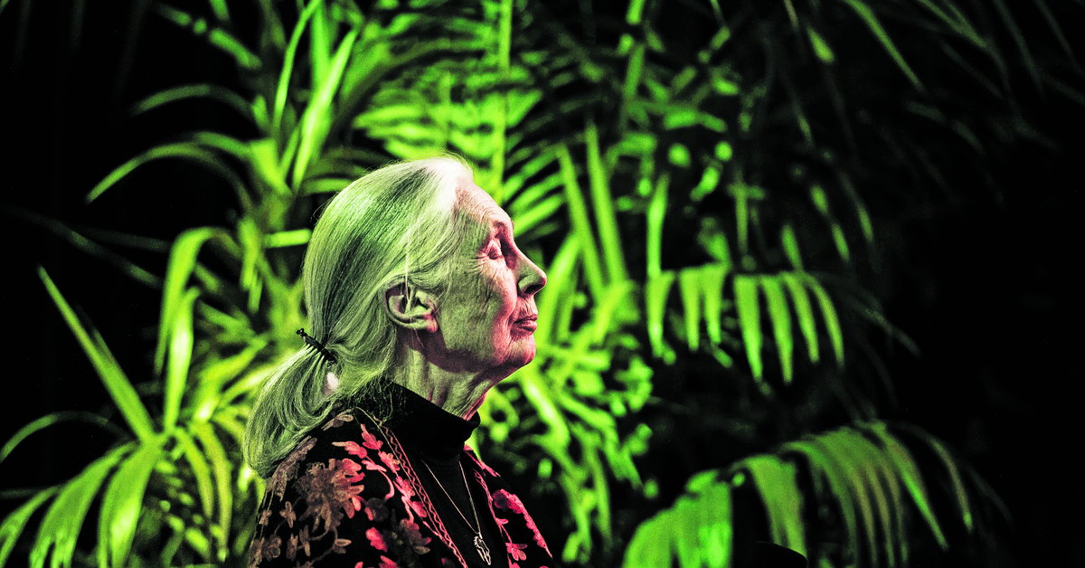 Jane Goodall: Without hope, we are zombies.
