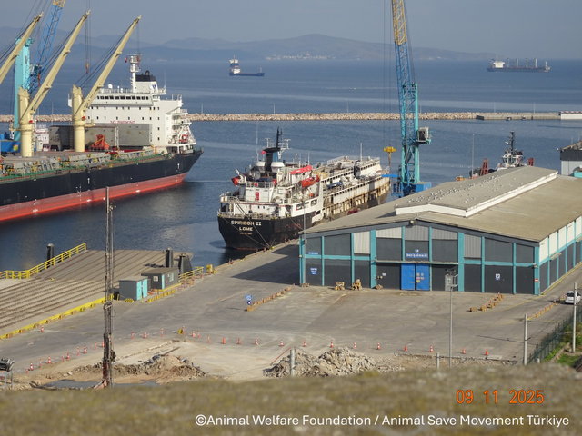 Ein Frachtschiff in einem Hafen